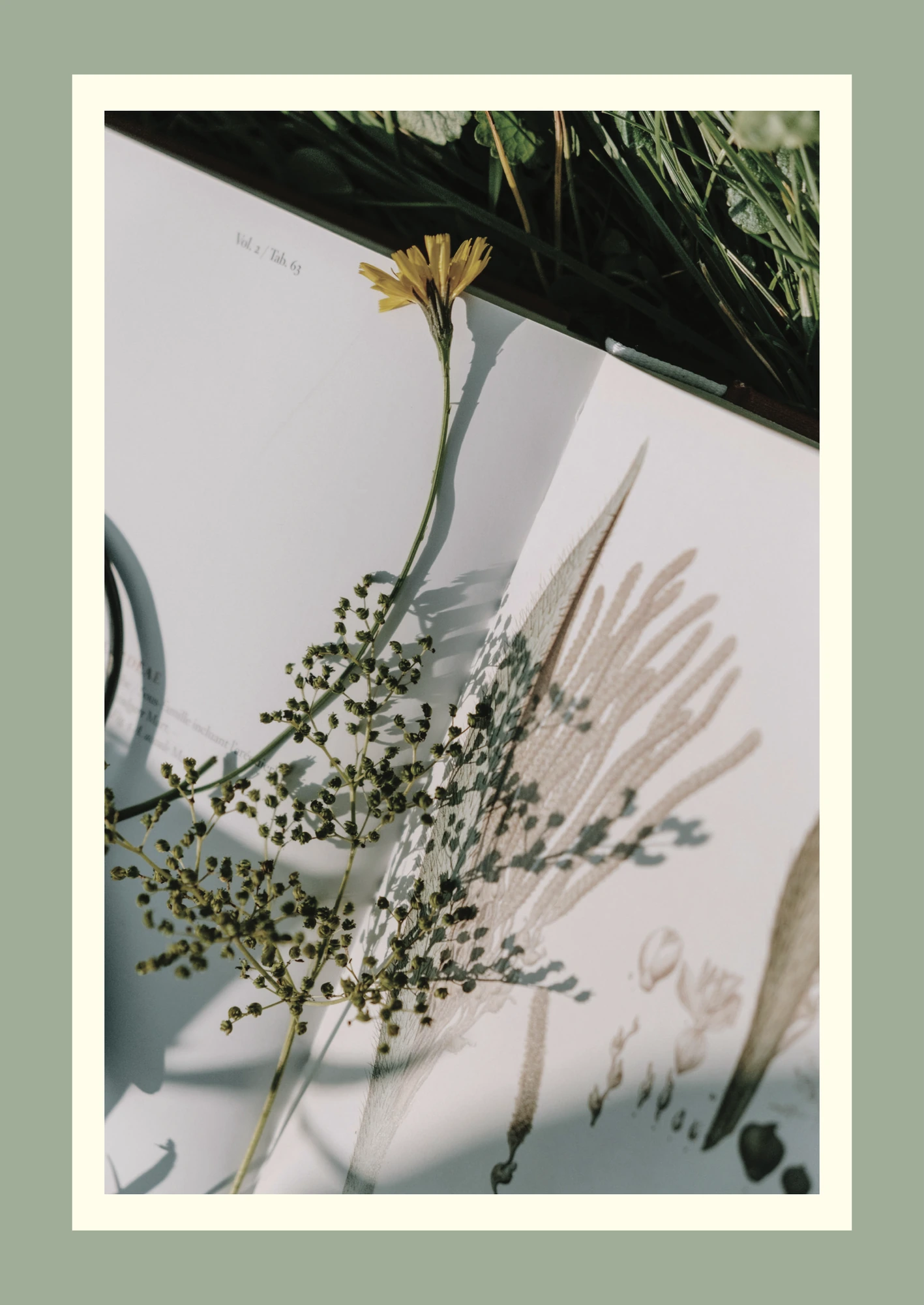 Visual mood board, 2 of 7, LINAÉ, healthcare & aesthetics branding by Blue Owl Design Studio, Hyderabad