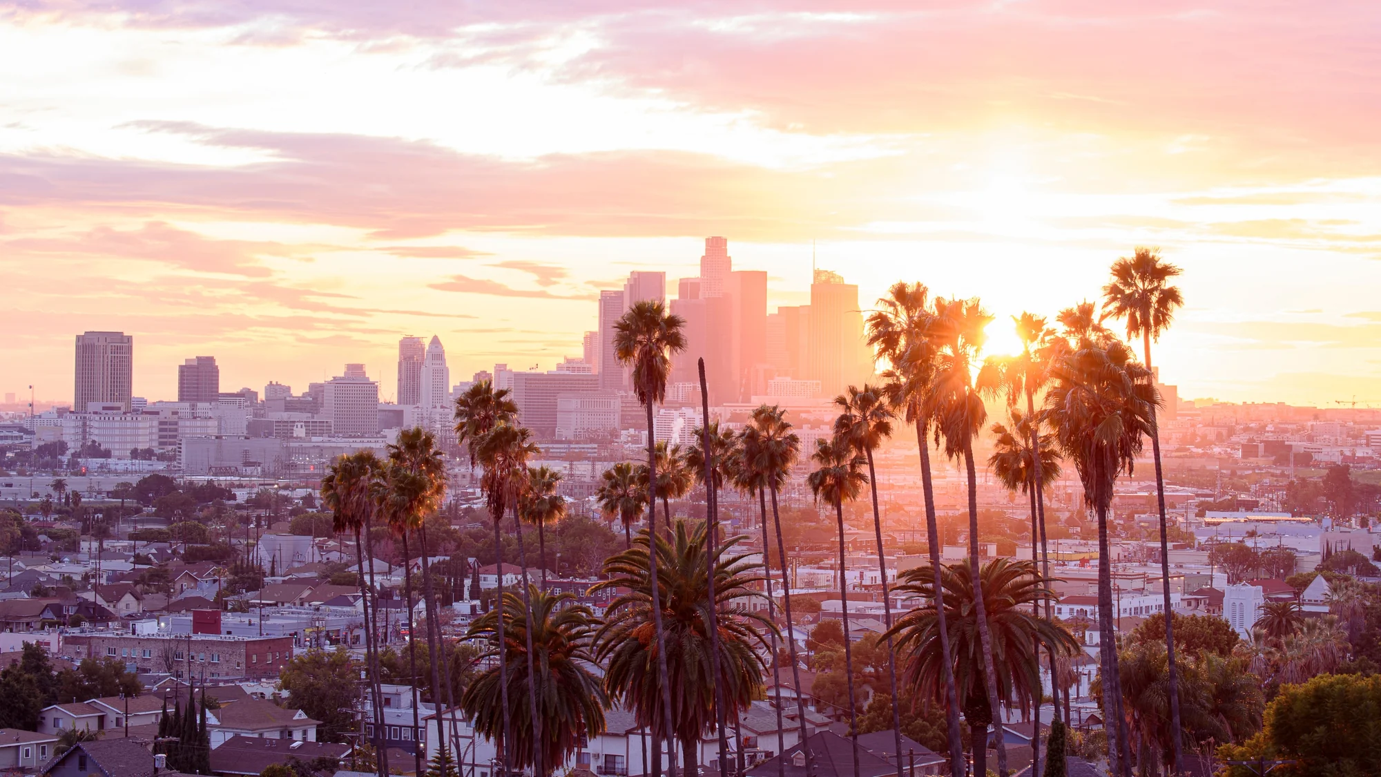 Palm trees and the downtown Los Angeles skyline against a pink and gold sunset