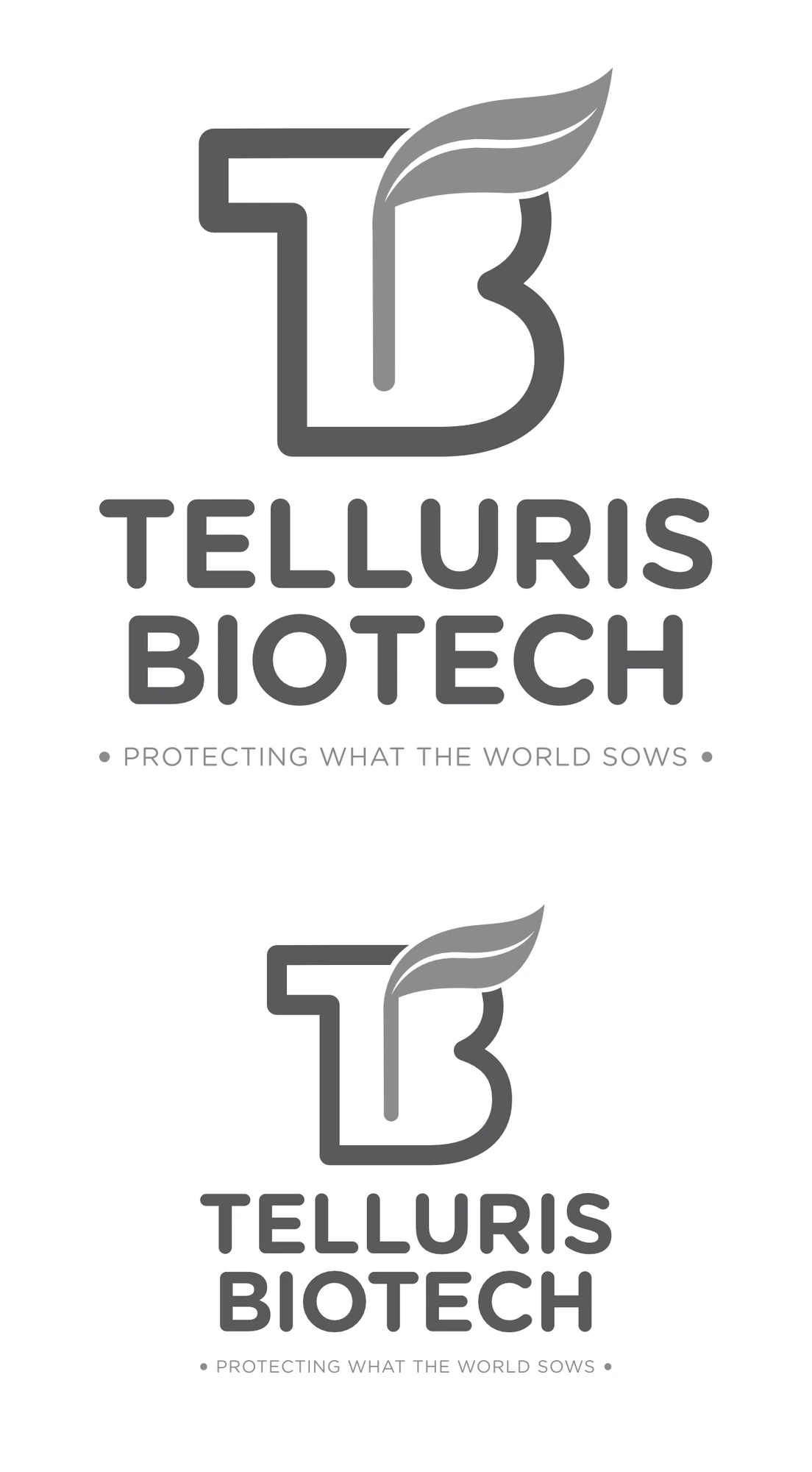 Colour, type and one-colour mark, 2 of 2, Telluris Biotech, biotech branding by Blue Owl Design Studio, Hyderabad