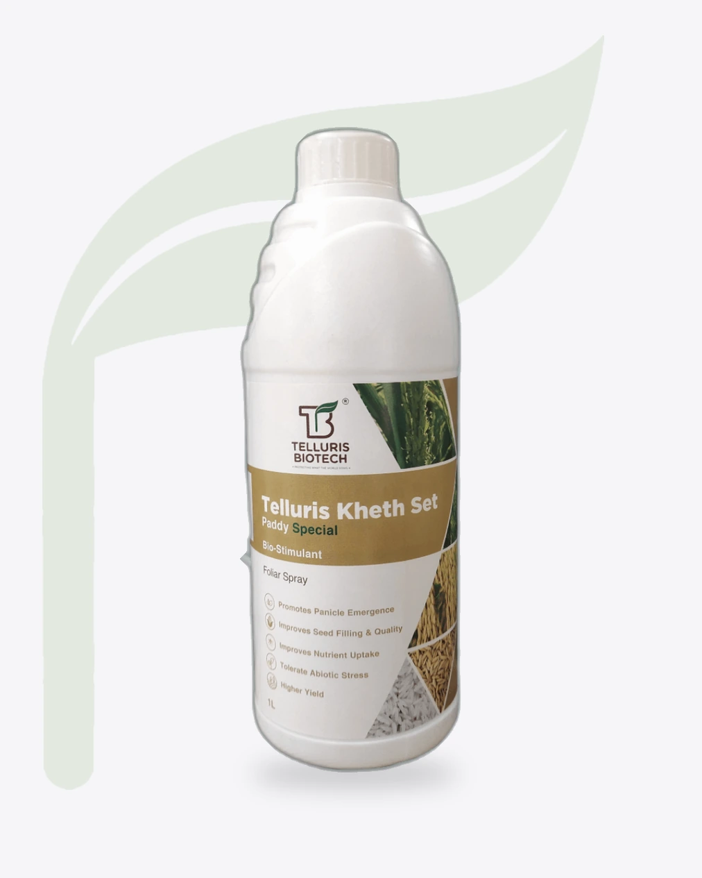 Kheth Set Paddy (The line-up), Telluris Biotech, biotech branding by Blue Owl Design Studio, Hyderabad
