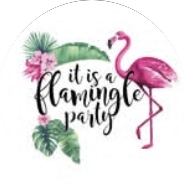 Flamingle! highlight cover